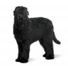 black russian terrier dog