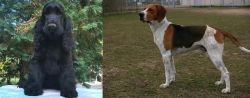 American Cocker Spaniel vs Anglo-Francais de Petite Venerie - Breed Comparison