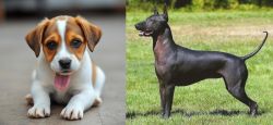 Bagel Hound  vs Hairless Khala - Breed Comparison