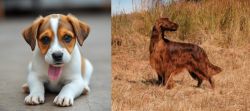Bagel Hound  vs Irish Setter - Breed Comparison