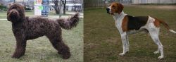 Barbet vs Anglo-Francais de Petite Venerie - Breed Comparison