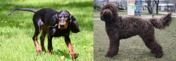 Black and Tan Coonhound vs Barbet - Breed Comparison