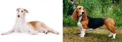 Borzoi vs Basset Artesien Normand - Breed Comparison