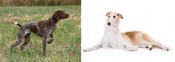 Braque Francais vs Borzoi - Breed Comparison