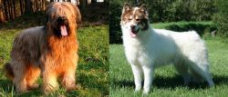 Briard vs Canadian Eskimo Dog - Breed Comparison