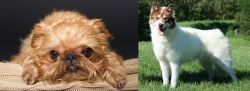 Brug vs Canadian Eskimo Dog - Breed Comparison