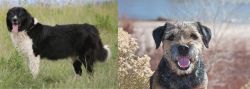 Bulgarian Shepherd vs Border Terrier - Breed Comparison