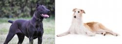 Canis Panther vs Borzoi - Breed Comparison