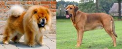 Chow Chow vs Broholmer - Breed Comparison