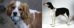 Cockalier vs Francais Blanc et Noir - Breed Comparison