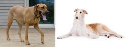 Danish Broholmer vs Borzoi - Breed Comparison