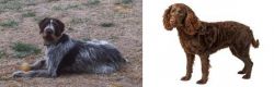 Deutsch Drahthaar vs American Water Spaniel - Breed Comparison