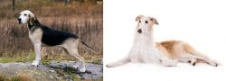 Dunker vs Borzoi - Breed Comparison