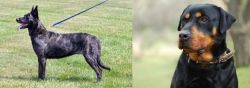Dutch Shepherd vs Rottweiler - Breed Comparison