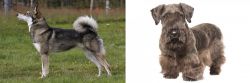 East Siberian Laika vs Cesky Terrier - Breed Comparison