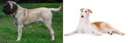 English Mastiff vs Borzoi - Breed Comparison