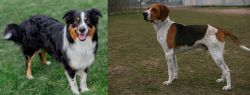 English Shepherd vs Anglo-Francais de Petite Venerie - Breed Comparison