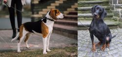 Estonian Hound vs Austrian Black and Tan Hound - Breed Comparison