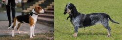 Estonian Hound vs Basset Bleu de Gascogne - Breed Comparison