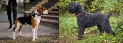 Estonian Hound vs Black Russian Terrier - Breed Comparison