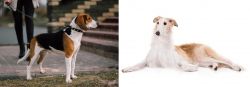 Estonian Hound vs Borzoi - Breed Comparison