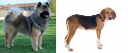 Eurasier vs Beagle-Harrier - Breed Comparison