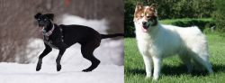 Eurohound vs Canadian Eskimo Dog - Breed Comparison