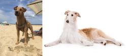Fell Terrier vs Borzoi - Breed Comparison