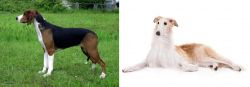Finnish Hound vs Borzoi - Breed Comparison
