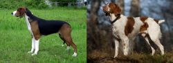 Finnish Hound vs Brittany - Breed Comparison