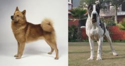 Finnish Spitz vs Alangu Mastiff - Breed Comparison