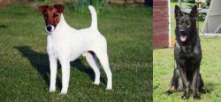 Fox Terrier (Smooth) vs East German Shepherd - Breed Comparison