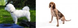 Franzuskaya Bolonka vs English Coonhound - Breed Comparison