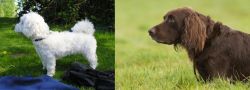 Franzuskaya Bolonka vs German Longhaired Pointer - Breed Comparison