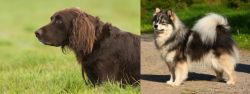 German Longhaired Pointer vs Finnish Lapphund - Breed Comparison
