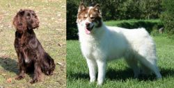 German Spaniel vs Canadian Eskimo Dog - Breed Comparison