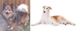 German Spitz (Mittel) vs Borzoi - Breed Comparison