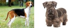 Grand Anglo-Francais Tricolore vs Cesky Terrier - Breed Comparison