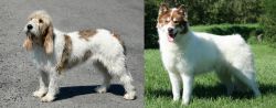 Grand Basset Griffon Vendeen vs Canadian Eskimo Dog - Breed Comparison