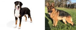 Greater Swiss Mountain Dog vs German Shepherd - Breed Comparison