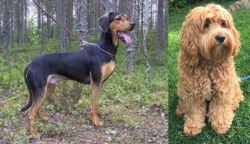 Greek Harehound vs Cockapoo - Breed Comparison