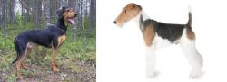 Greek Harehound vs Fox Terrier - Breed Comparison
