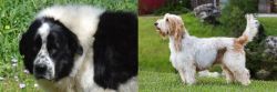 Greek Sheepdog vs Grand Griffon Vendeen - Breed Comparison