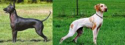 Hairless Khala vs Ariege Pointer - Breed Comparison