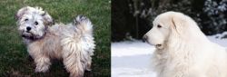  vs Great Pyrenees - Breed Comparison