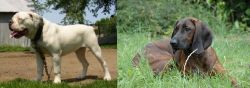 Hermes Bulldogge vs Hanover Hound - Breed Comparison