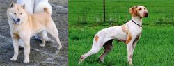 Hokkaido vs Ariege Pointer - Breed Comparison