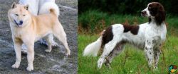 Hokkaido vs French Spaniel - Breed Comparison