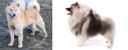 Hokkaido vs Keeshond - Breed Comparison