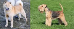 Hokkaido vs Lakeland Terrier - Breed Comparison